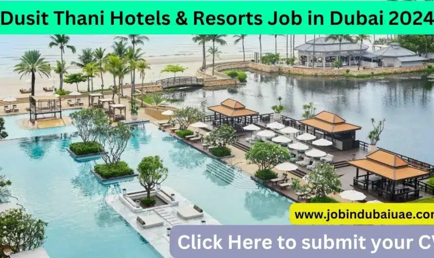 Dusit Thani Hotels & Resorts Job in Dubai 2024