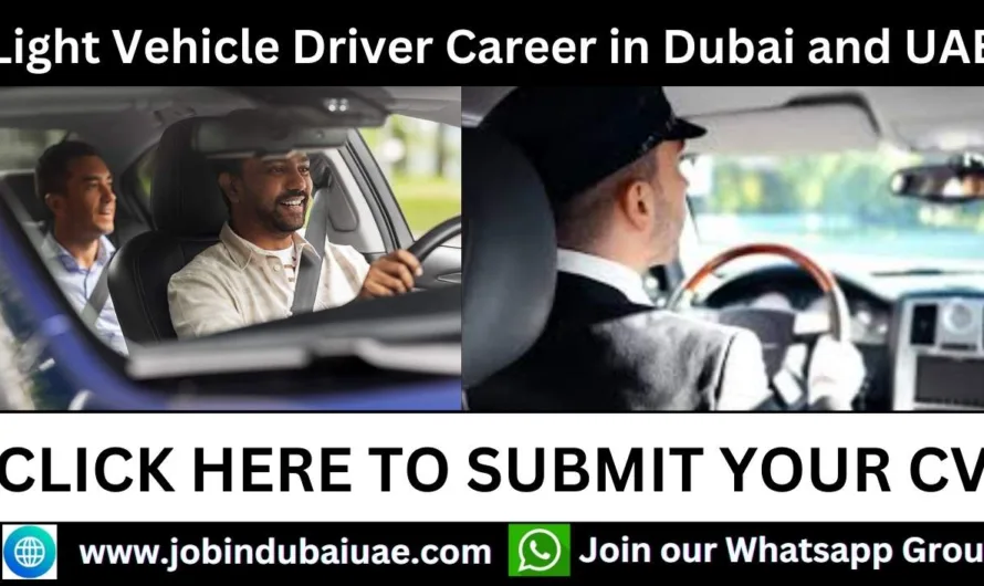 Latest Light Vehicle Driver Career in Dubai 2024