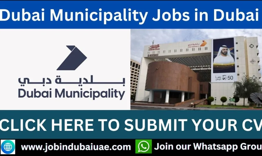 Dubai Municipality Jobs in Dubai 2024