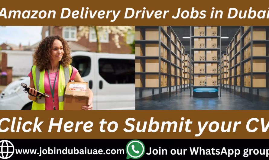 Amazon Delivery Driver with Own Car and Own Visa