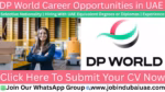 dp world career